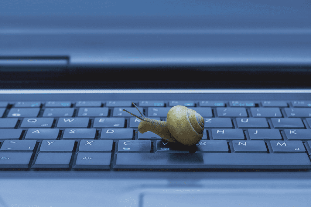 Bandwidth throttling imagined by visualizing a snail slowly crawling across a keyboard