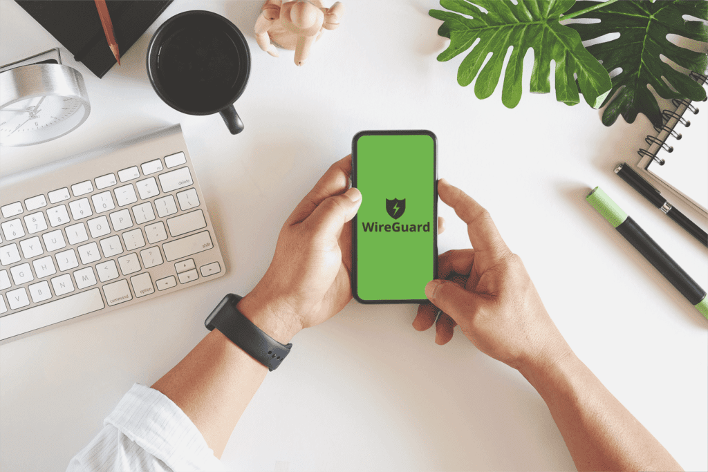 man holds a mobile phone with wireguard vpn forSilverBackVPNon display