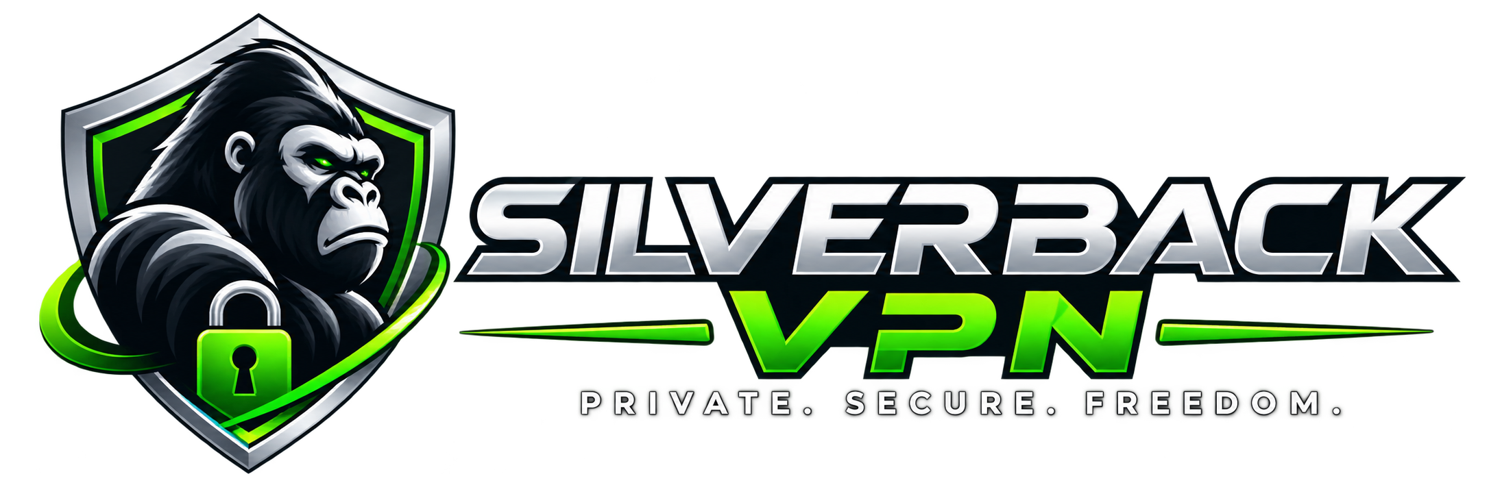 SilverBackVPN