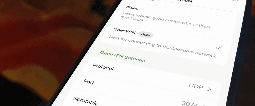 OpenVPN Now Available in silverbackvpn iOS App