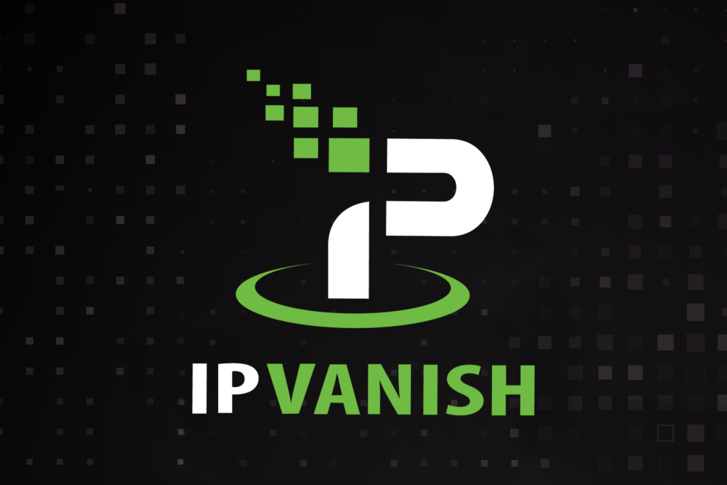 decorative silverbackvpn logo banner