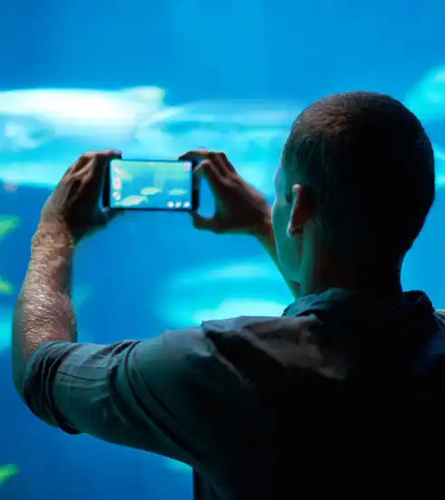 Taking video in an aquarium
