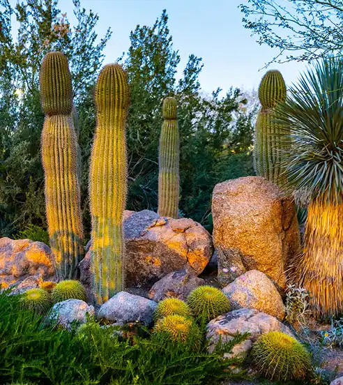 Botanical Garden