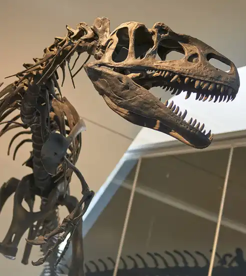 Science Museum